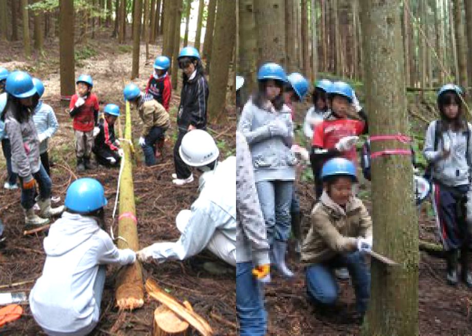 山林を学習の場として提供